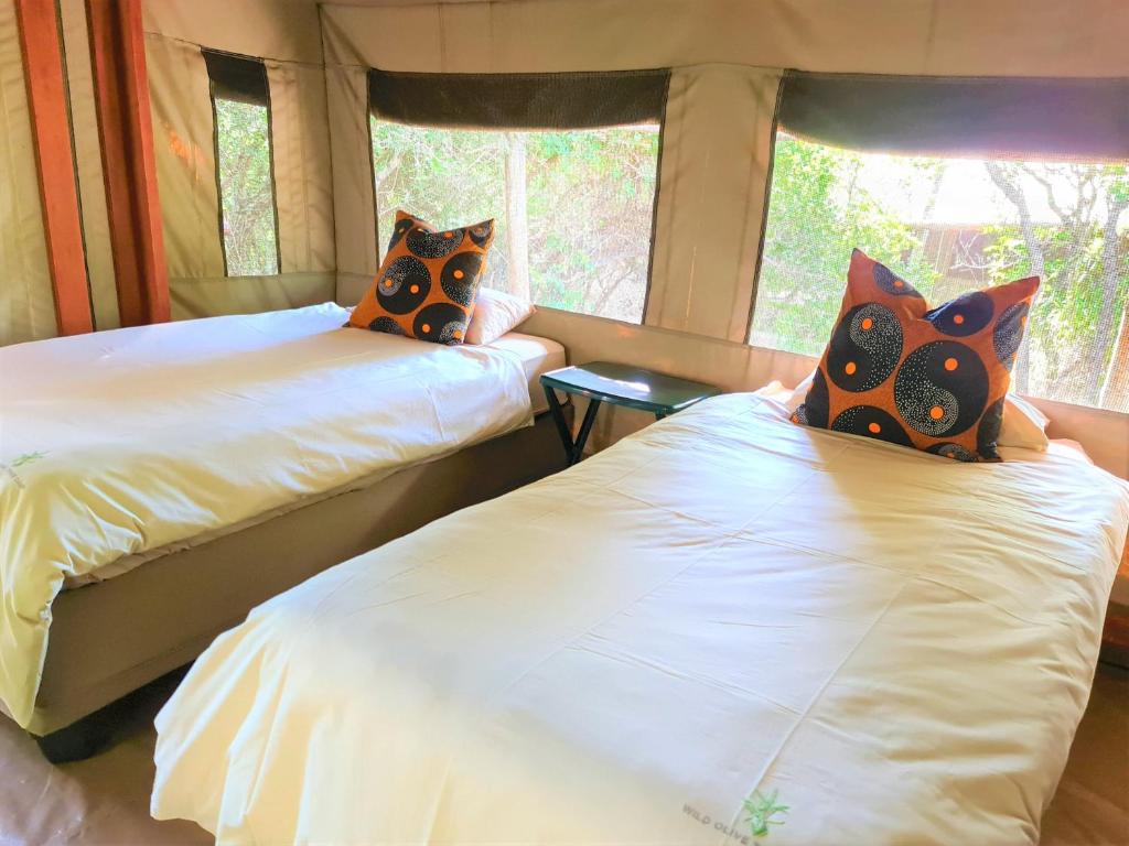The Wild Olive Tree Camp photo