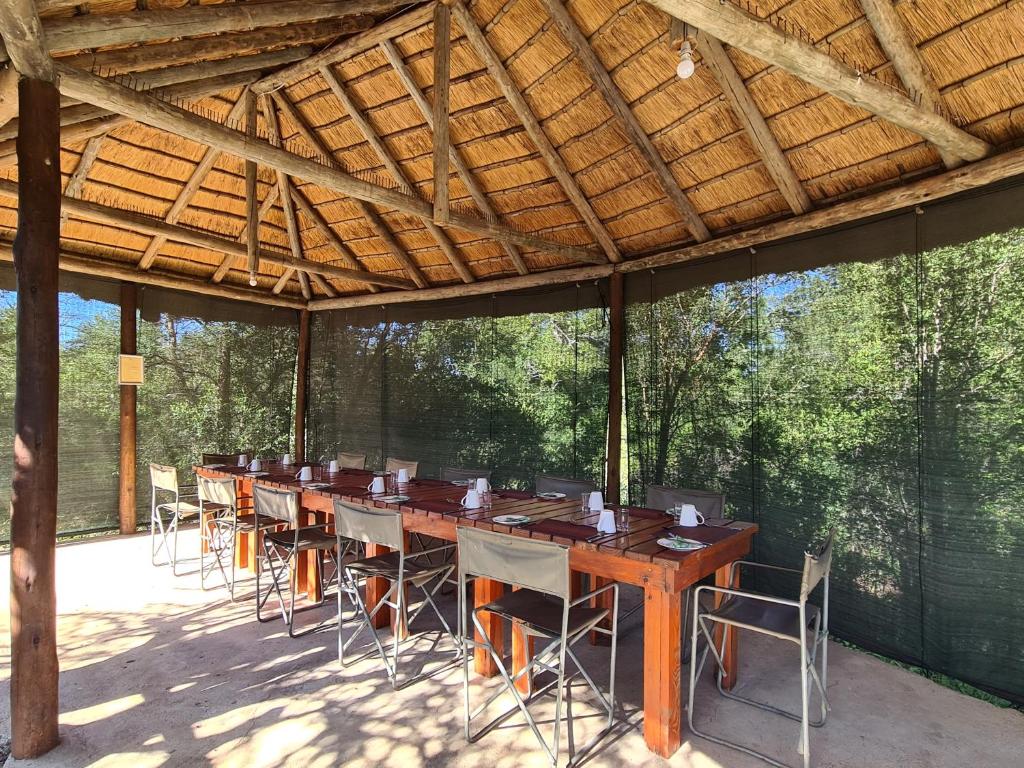 The Wild Olive Tree Camp photo