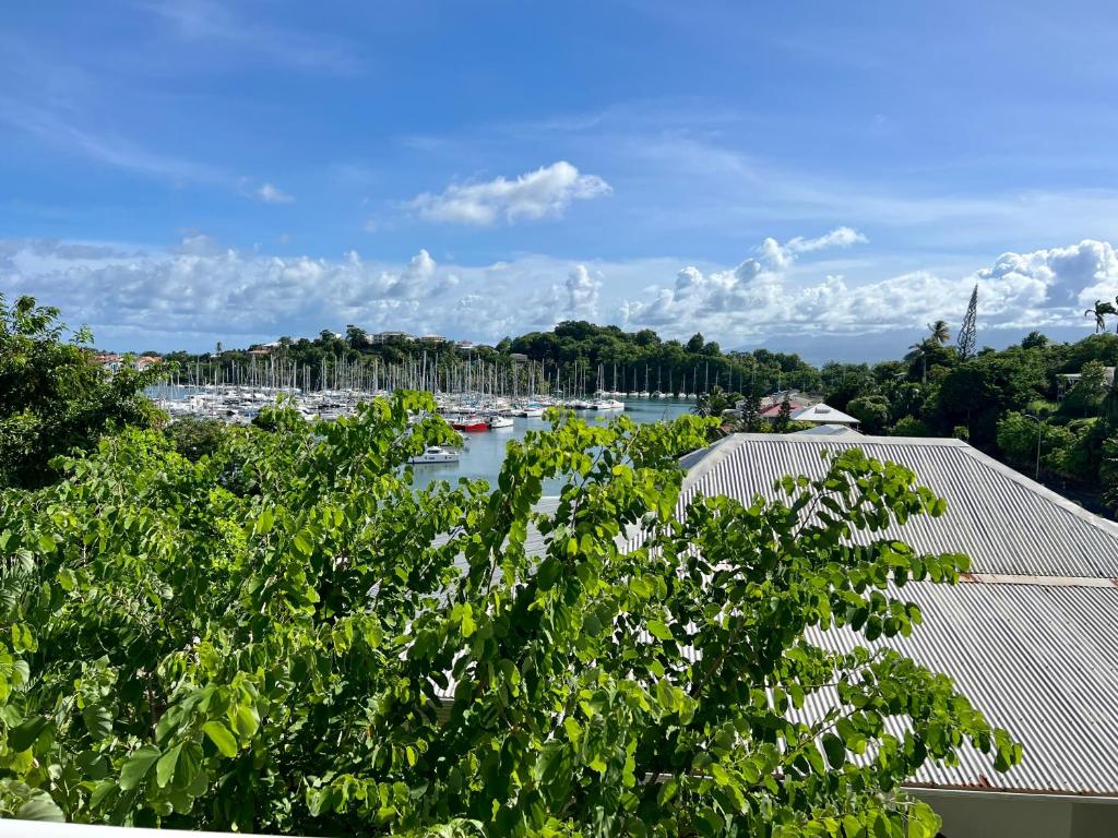 Marina Hill Appartement vue mer, Le Gosier