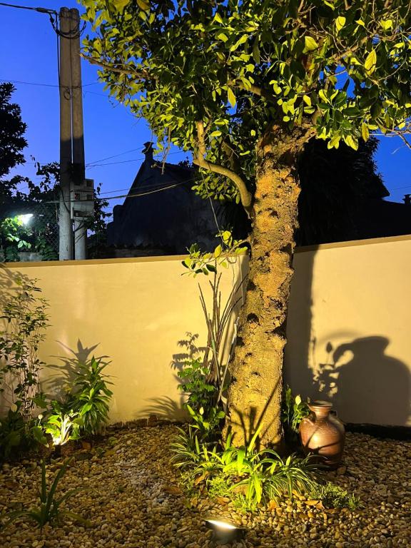 ĐUONG LAM HOUSE photo