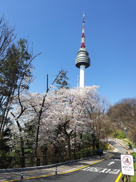 Hidden Ruby — Hotel in Seoul