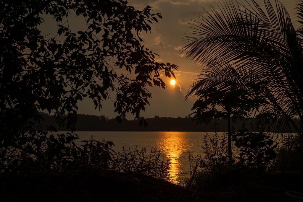 Shvas Island Resort photo