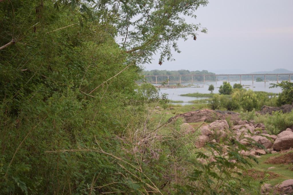 Aryan Camp Riverside Homestay, Panna Tiger Reserve, Madla photo