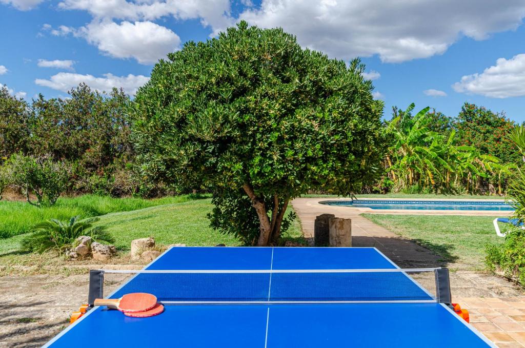 YourHouse Ca Na Teulera, villa with private pool - 3