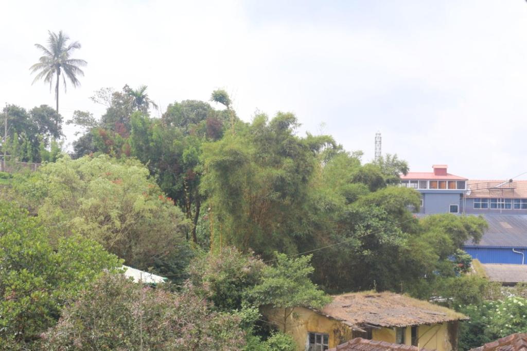 The Woodbarrel Homestay Coorg Madikeri photo