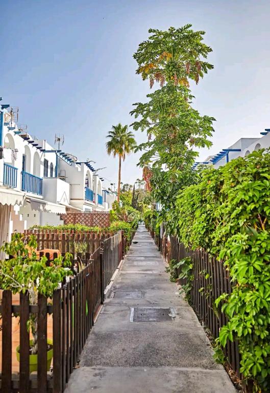Maspalomas Casa La Loba photo