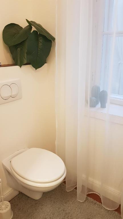Goldsmith Apartment photo