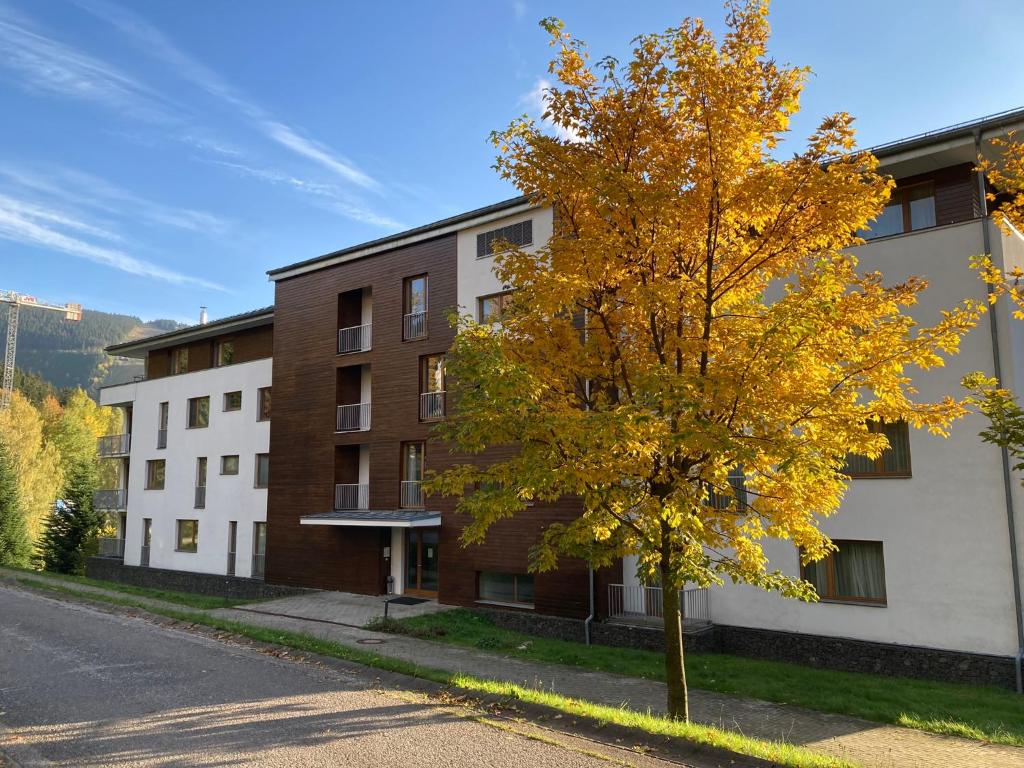 Exterior view, Studio Apartment Michael in Spindleruv Mlyn