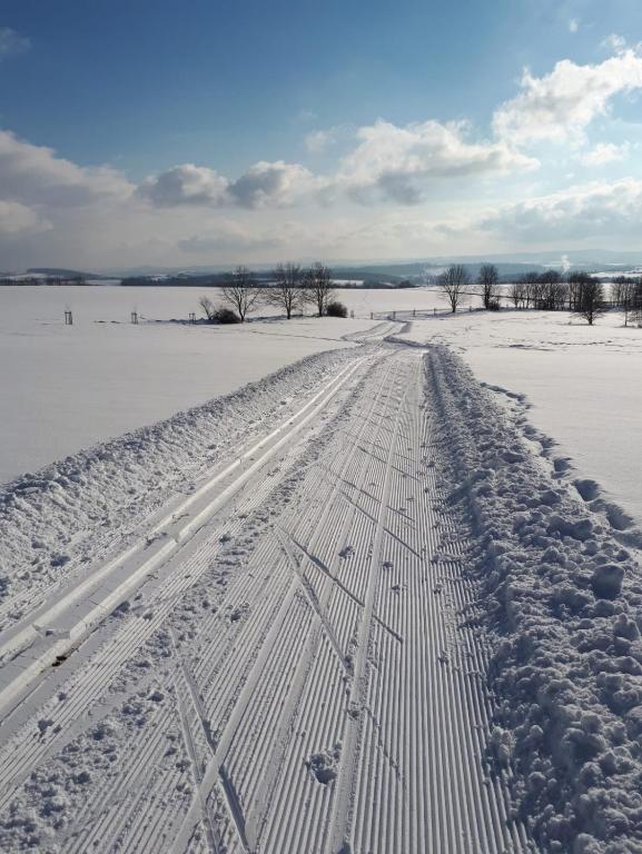 Sports and activities