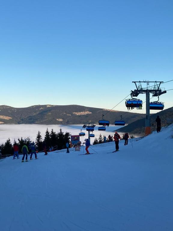 Sports and activities