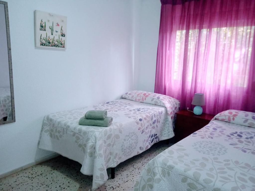 Casa Violeta - 5