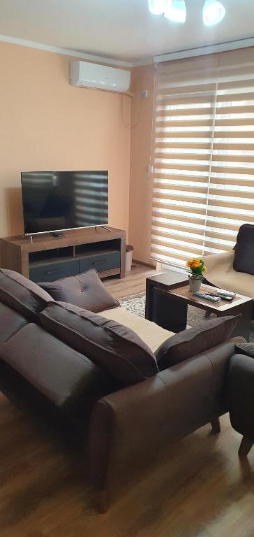 Apartman Banja Koviljaca - 2