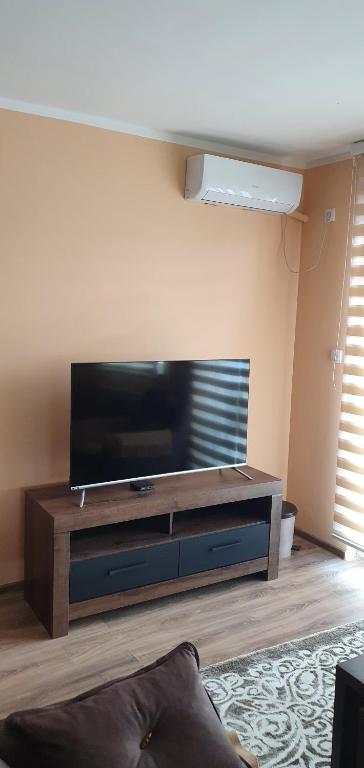 Apartman Banja Koviljaca - 5