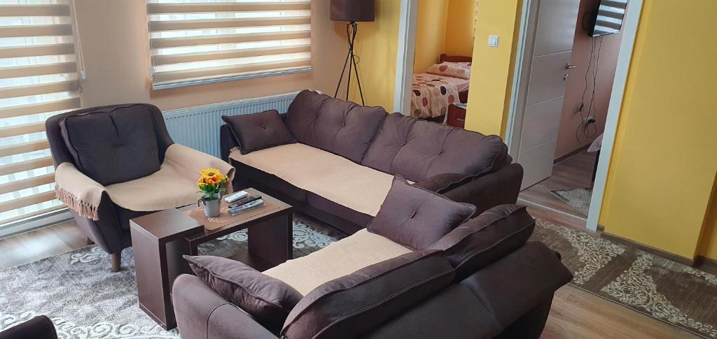 Apartman Banja Koviljaca - 4