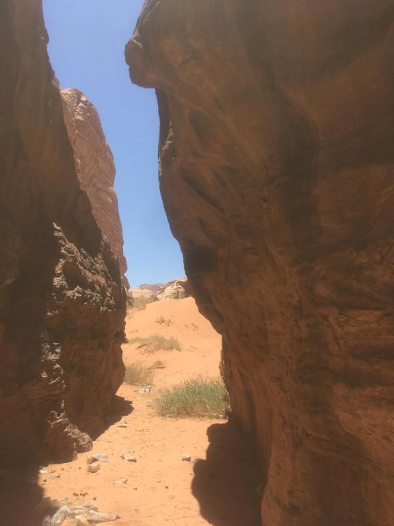 Surrounding environment