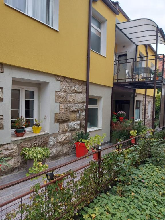 Guest House Pavlovic - 2