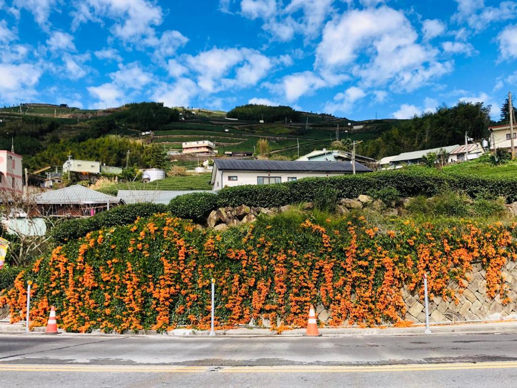 Jinglong Slow Living Wonderland B&B II photo