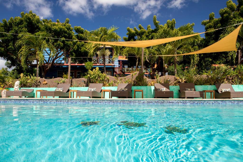 True Blue Bay Resort photo