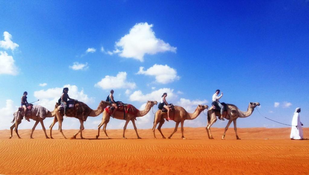 Horseback riding