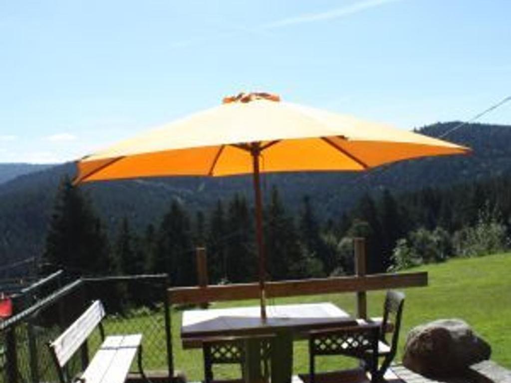 Gîte chaleureux avec terrasse privée à Gérardmer - FR-1-589-159 - 2