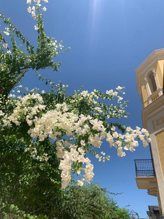 Villa Giada - 5