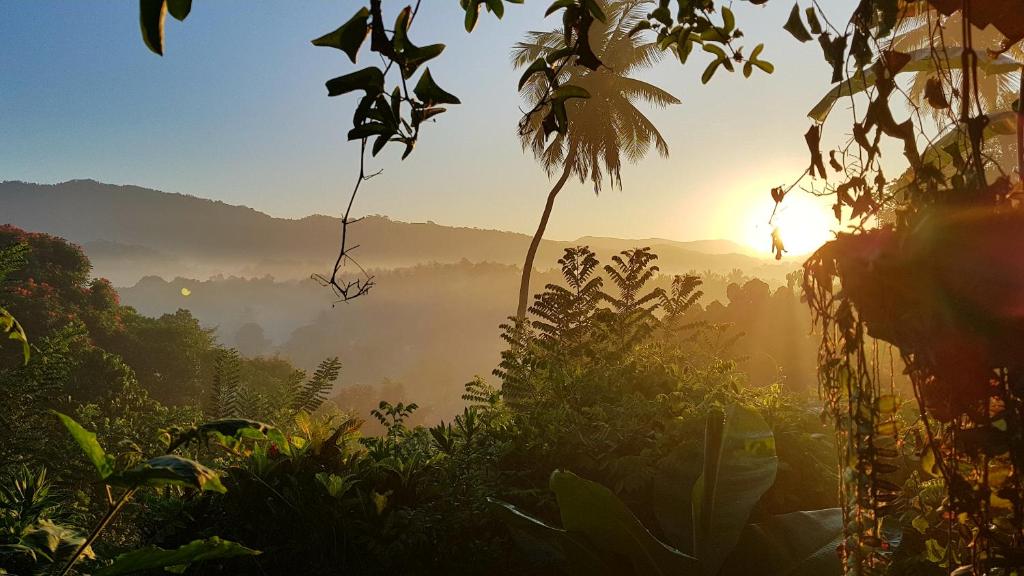 Surrounding environment