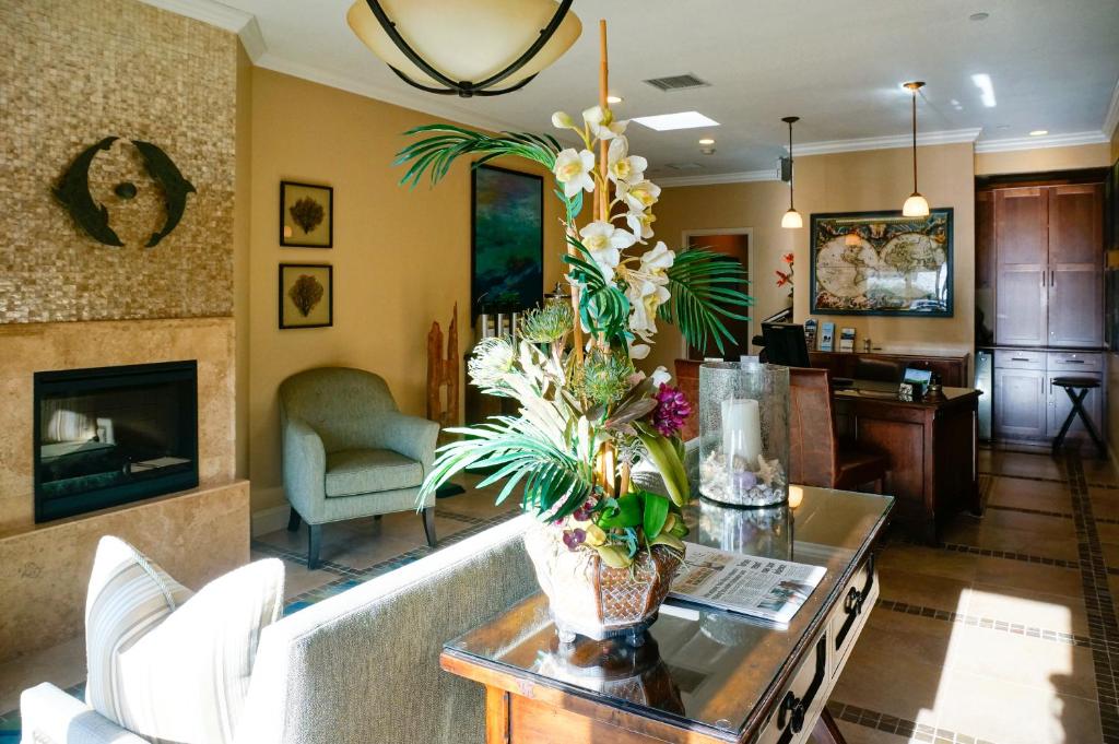 Blue Dolphin Inn photo