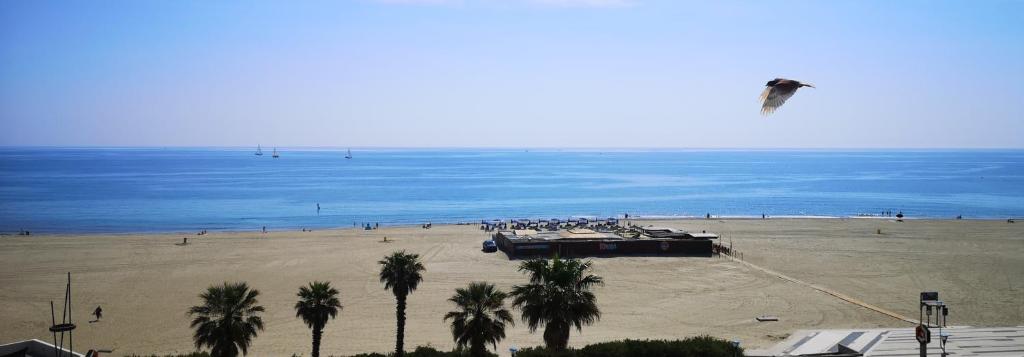 20 m2 de terrasse face à la mer à Canet en Roussillon - 4