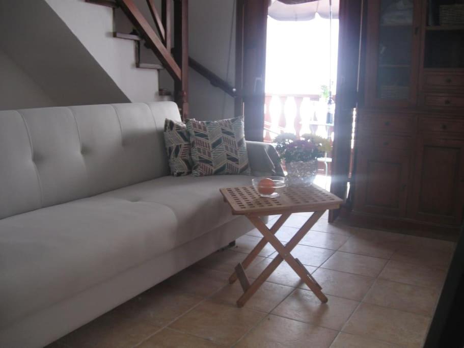 Casa Danesa - Cityhouse at the Palm Tree - 3
