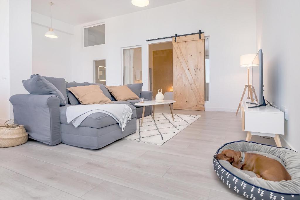 Homey apt Cómpeta, Cómpeta