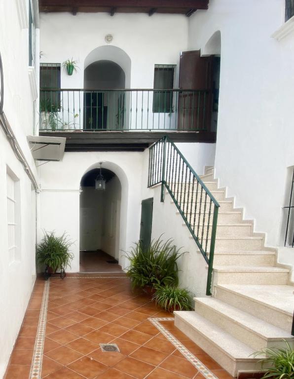 JEREZ CENTRO DOÑA BLANCA - 5