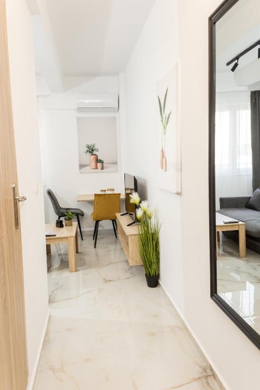 Hugo Superior Studios, Soluň