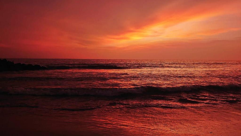 Theeraa Beach Villa in Cherai photo