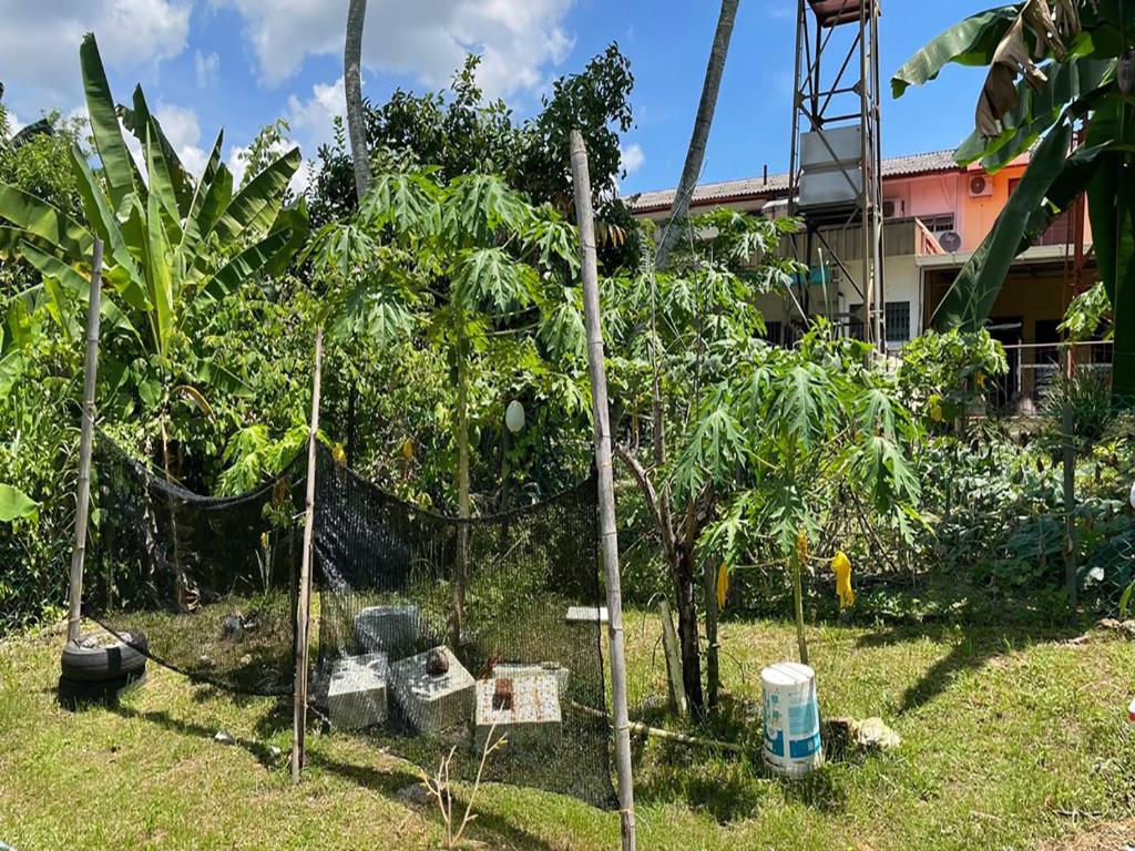 Sandakan Homestay SEMi D 3R2B For 10Pax photo