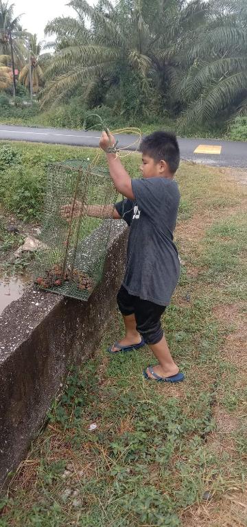 Chalet kolam renang D'sawah photo
