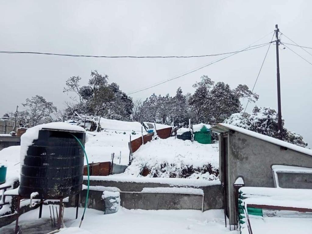 Homestay Sumnima photo