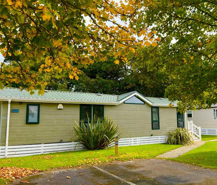 Jungle lodge, Lymington