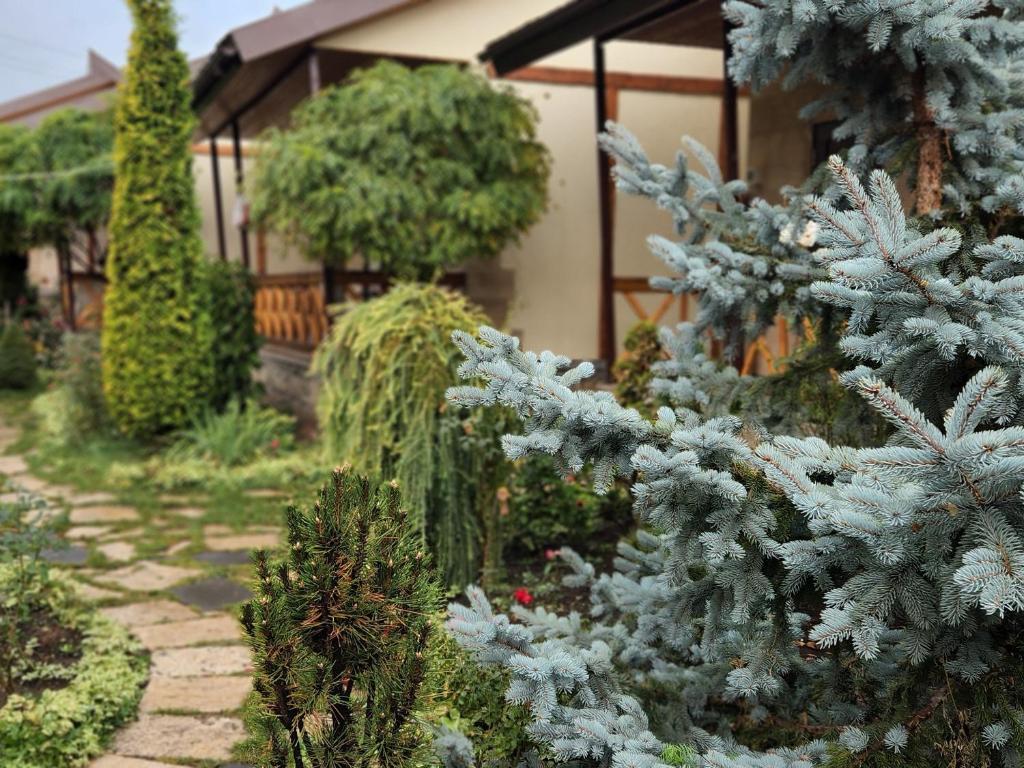 Grig House Eco Resort photo