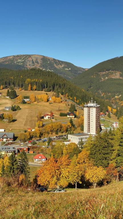 ทัศนียภาพ