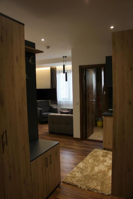 Apartmani Sorak Kopaonik, Studio Apartman A10 - 4