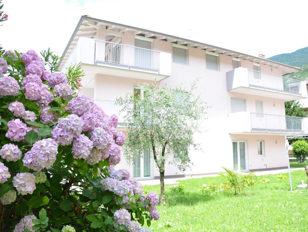 Geranio-Buganville - 4