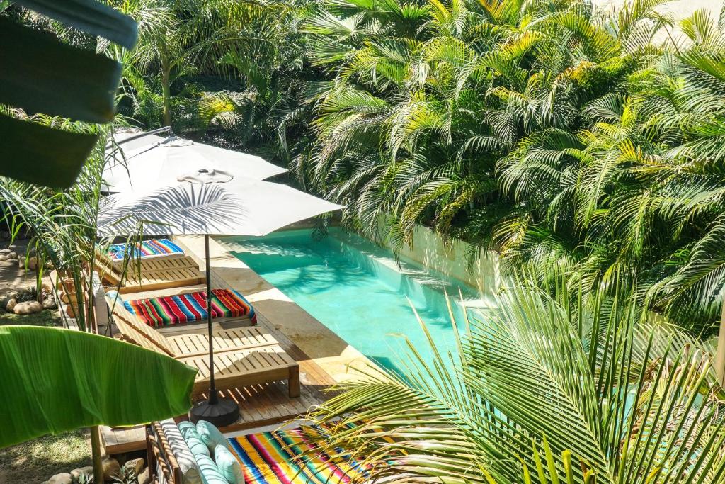 Hotel Gallo de Mar — Hotel in Puerto Escondido