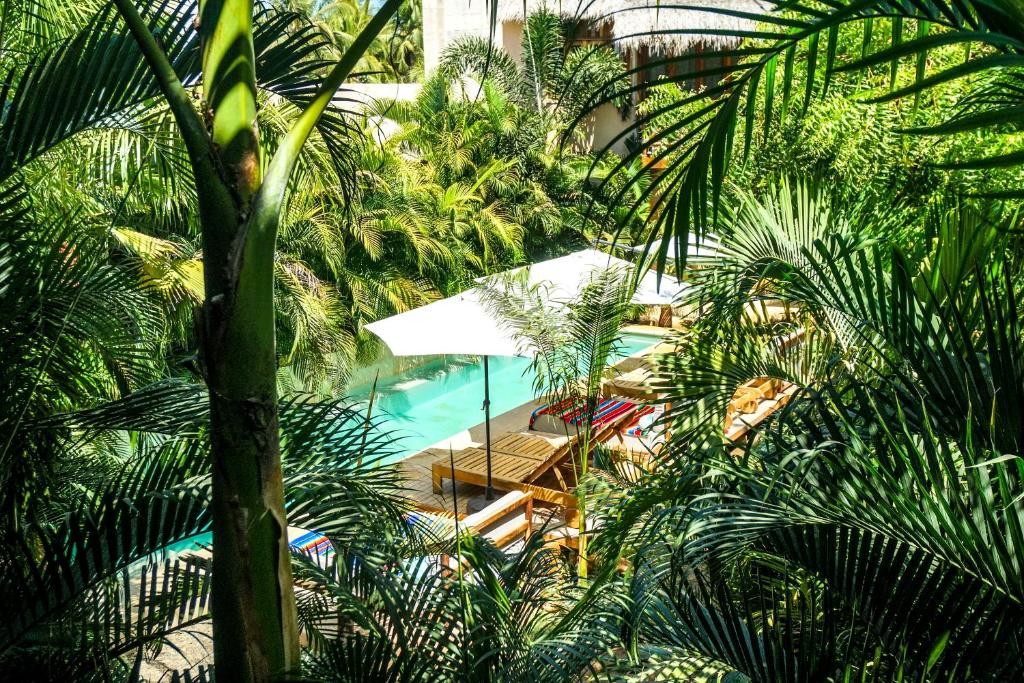 Hotel Gallo de Mar photo