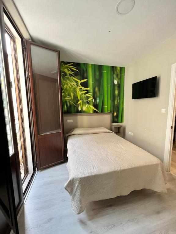 Hostal Viena Plaza Nueva photo