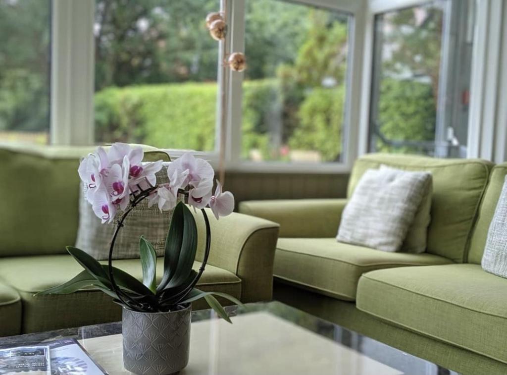 Ormonde House Hotel photo