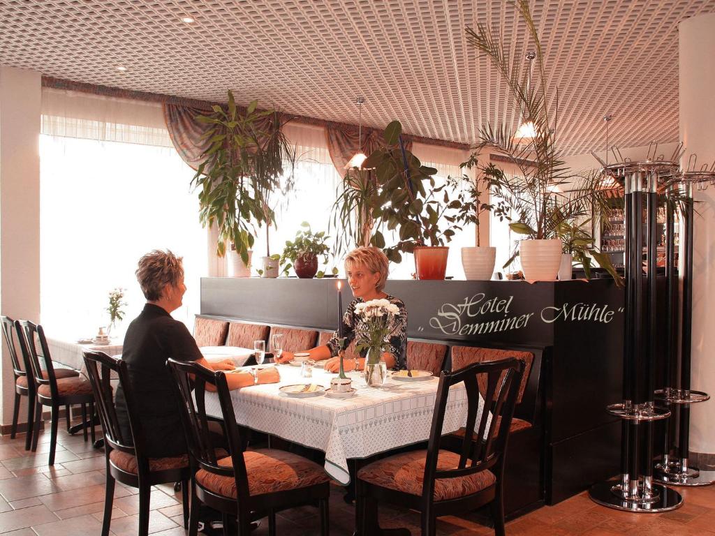 Hotel Demminer Muhle photo