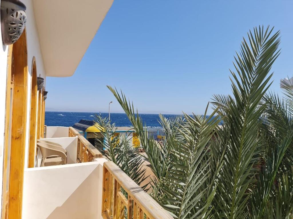 balkon/taras