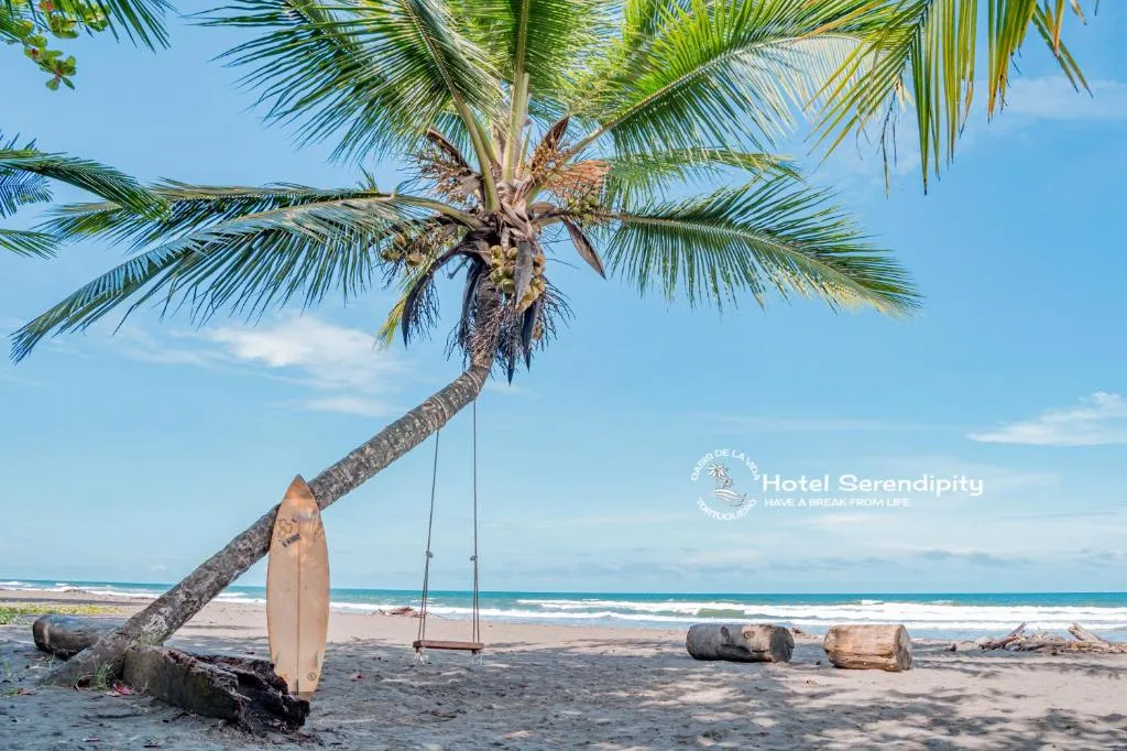 Hotel Serendipity, hotel in Tortuguero