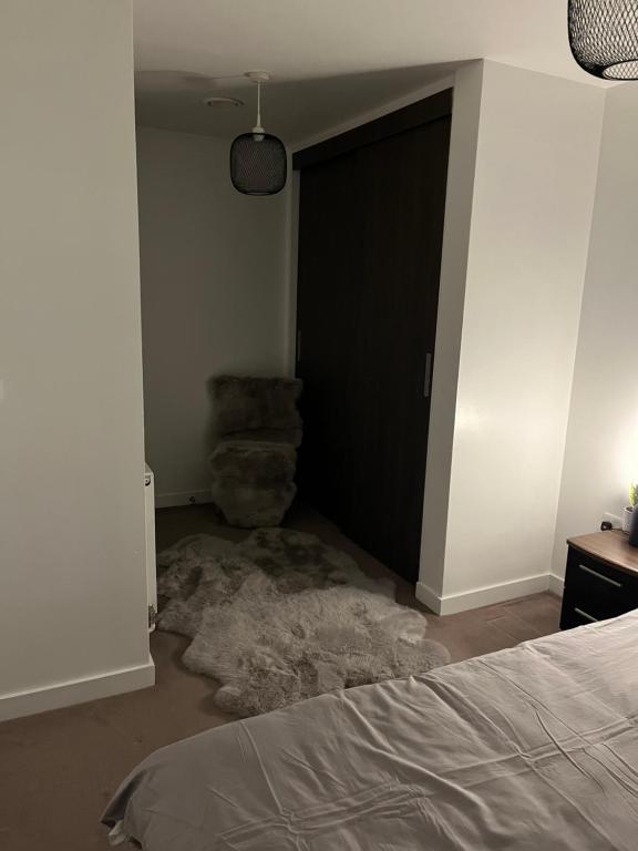 Luxurious DLR Apartment photo