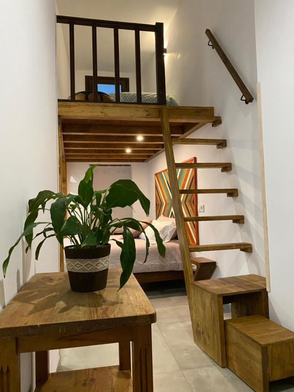 Apartamentos La Cámara II Córdoba Corredera - 3